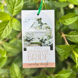 RUNAWAY BRIDE™ Hydrangea hybrid ‘USHYD0405’ - 25cm Pot