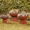 Adva Bowl Iron Rust