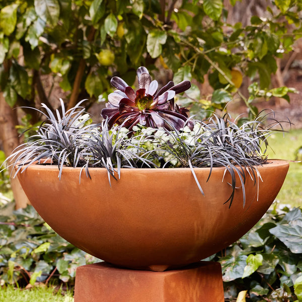 Adva Bowl Iron Rust