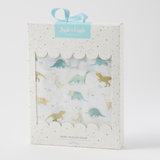 Dallying Dinosaurs Muslin Wrap