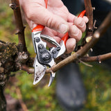 Felco 14 Pruner - Small Hand