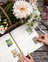 Heirloom Gardening Journal - Hydrangea