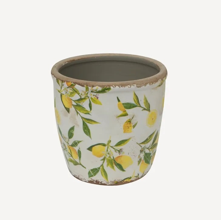 Botanical Lemon Pot - Large