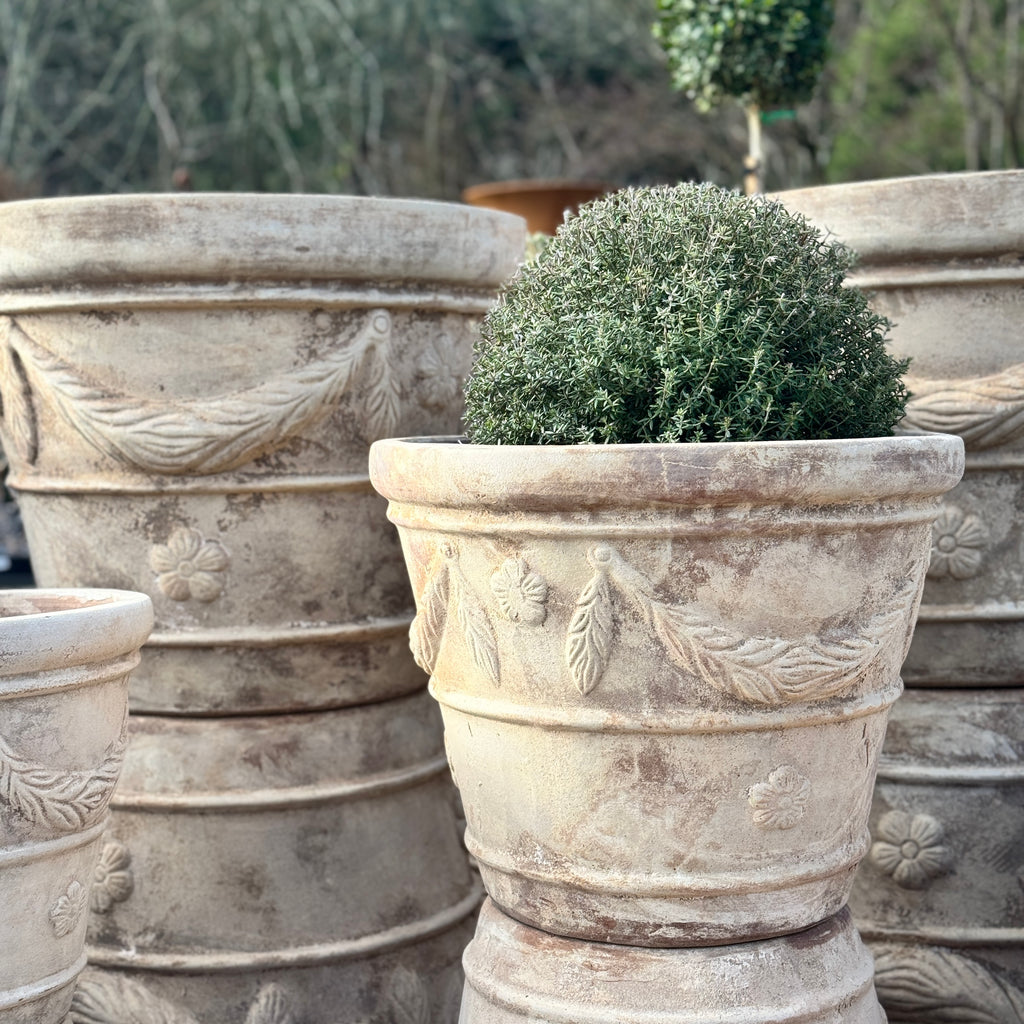 Wreath Planter - Antiqua