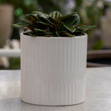 Axton Pot - 15cm