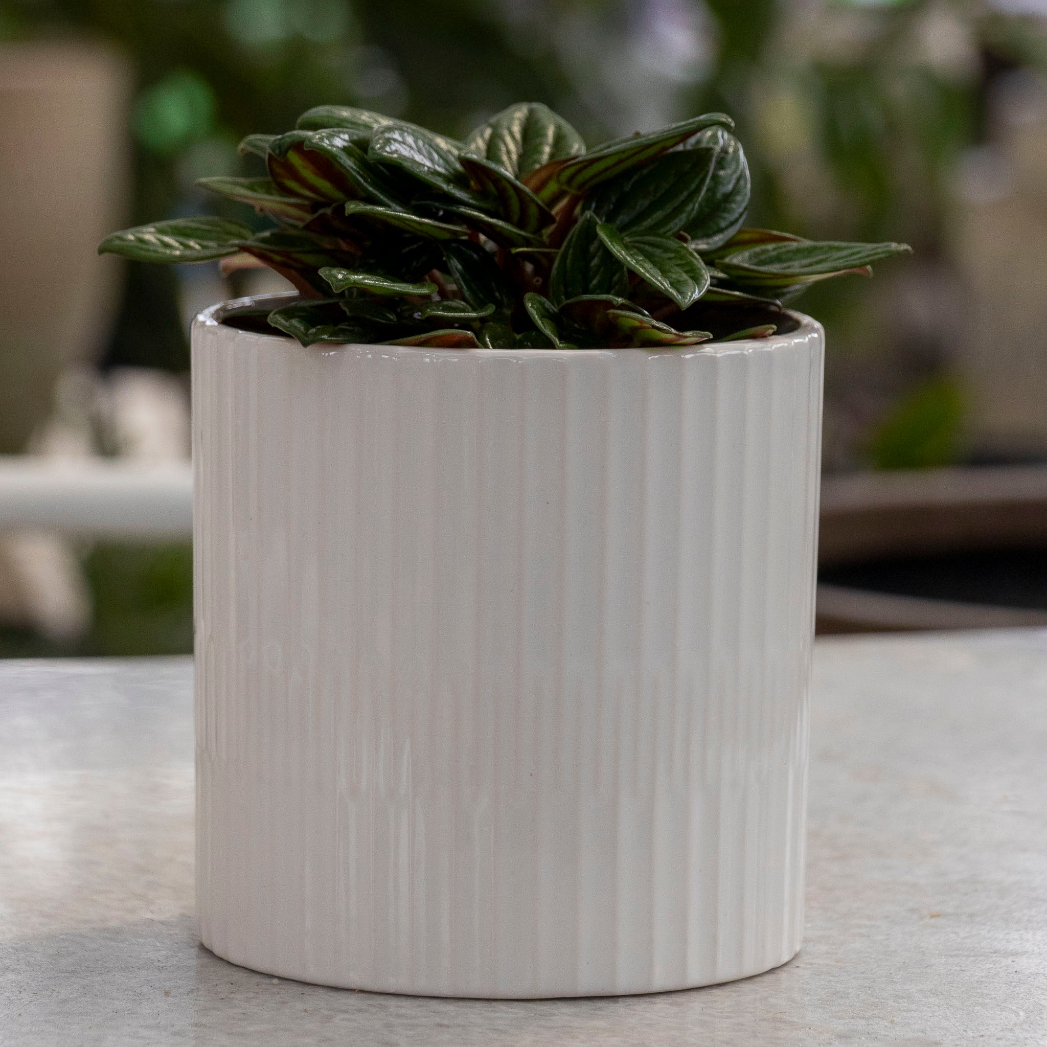 Axton Pot - 15cm