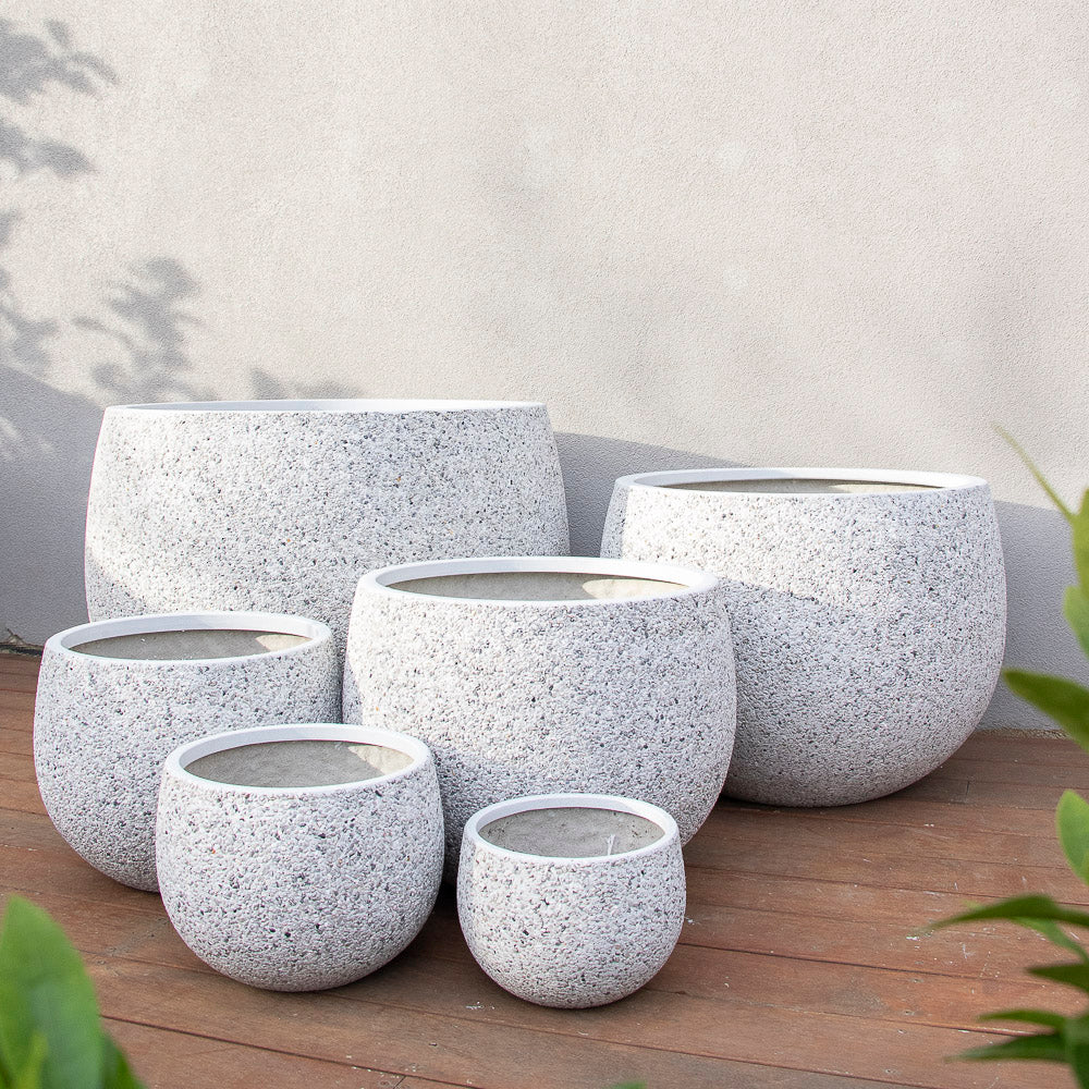 Mega Belly Pot -