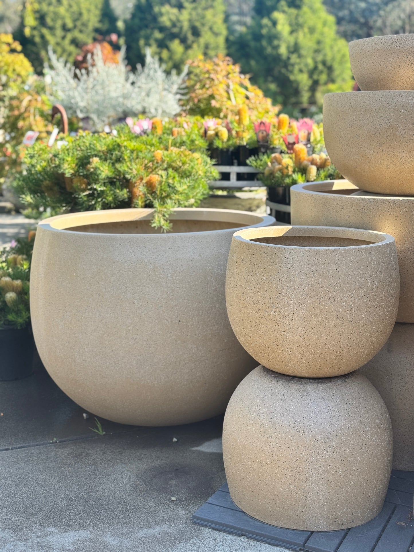 Mega Belly Pot -