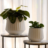 Cove Drum Pot -
