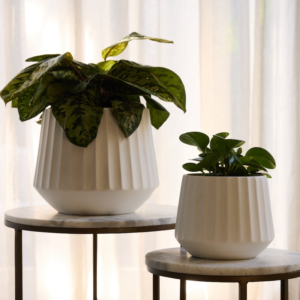 Cove Drum Pot -
