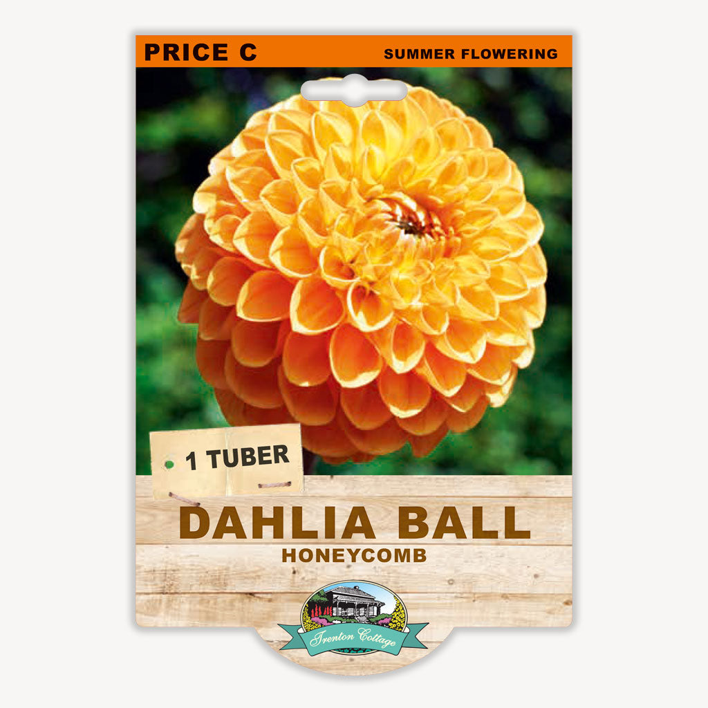 Dahlia Ball Honeycomb