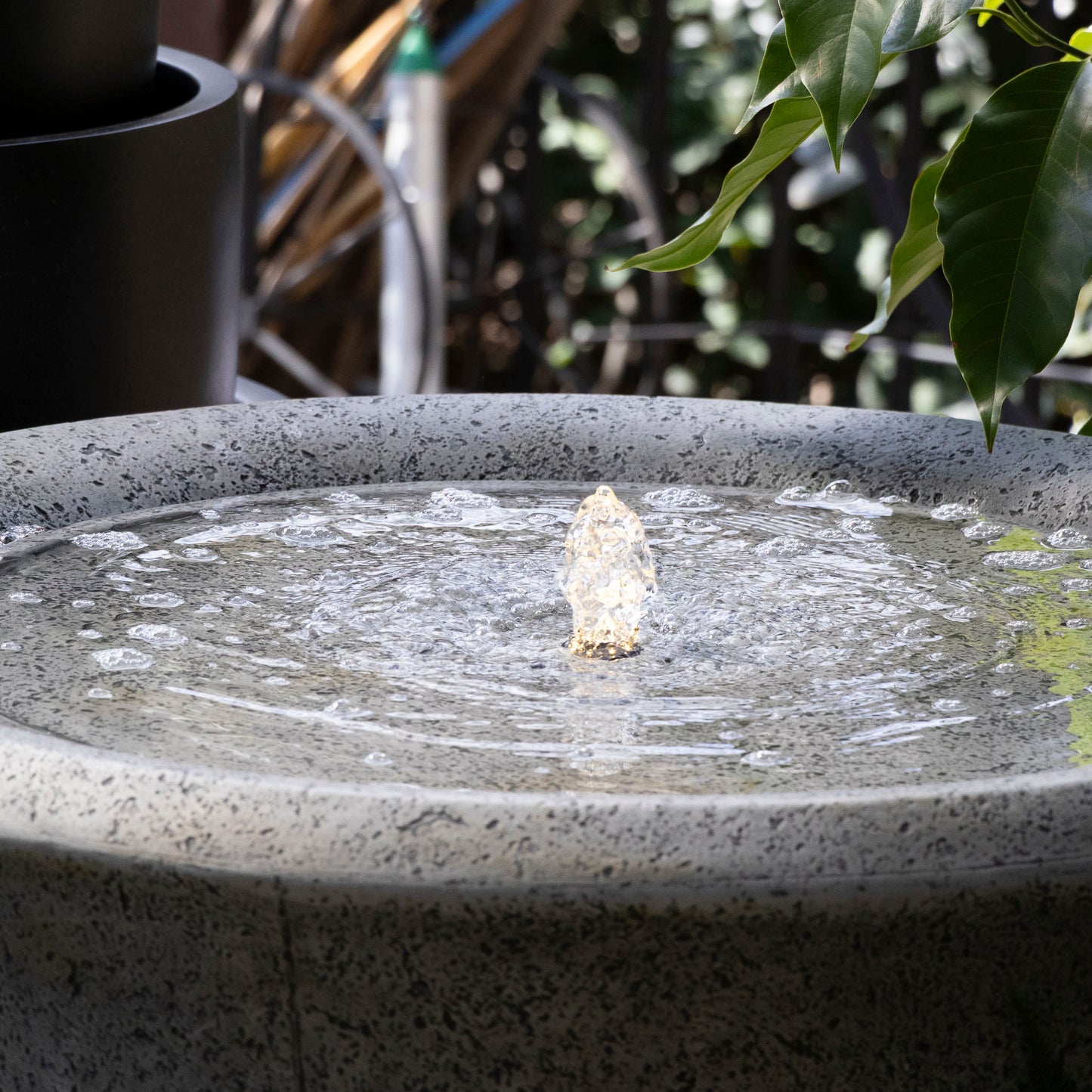 Molly Rose Fountain - Atlantic Grey