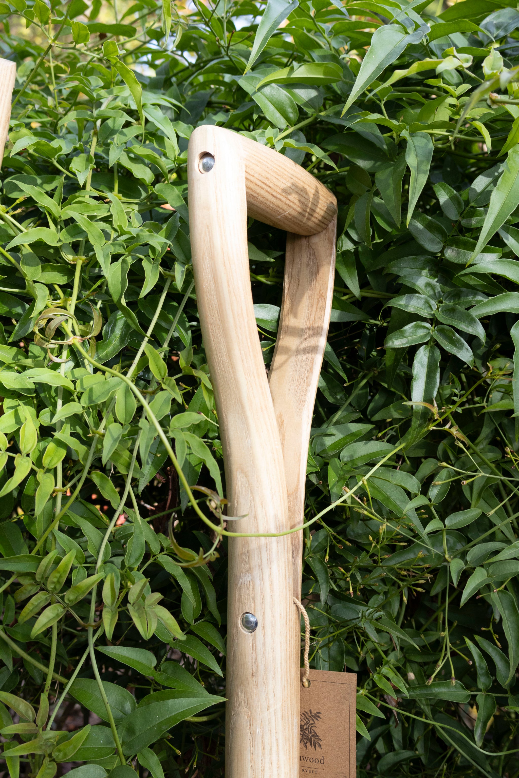 Stainless Border Spade