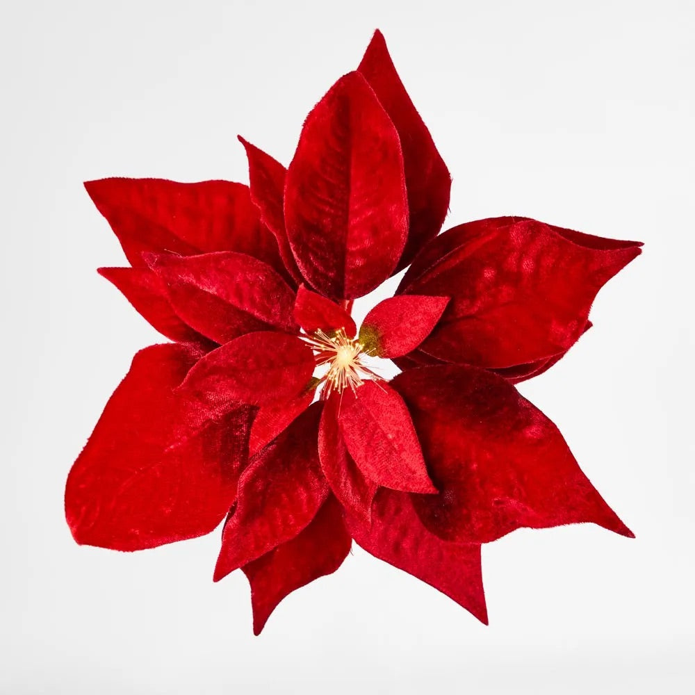 Luxe Velvet Poinsettia Clip On Light Up Stamen - Red