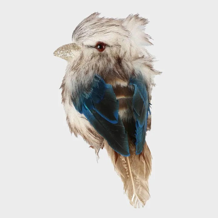 Kookaburra - Small