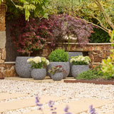 Mega Belly Pot -