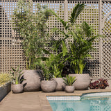 Mega Belly Pot -