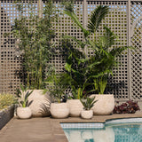 Mega Belly Pot -