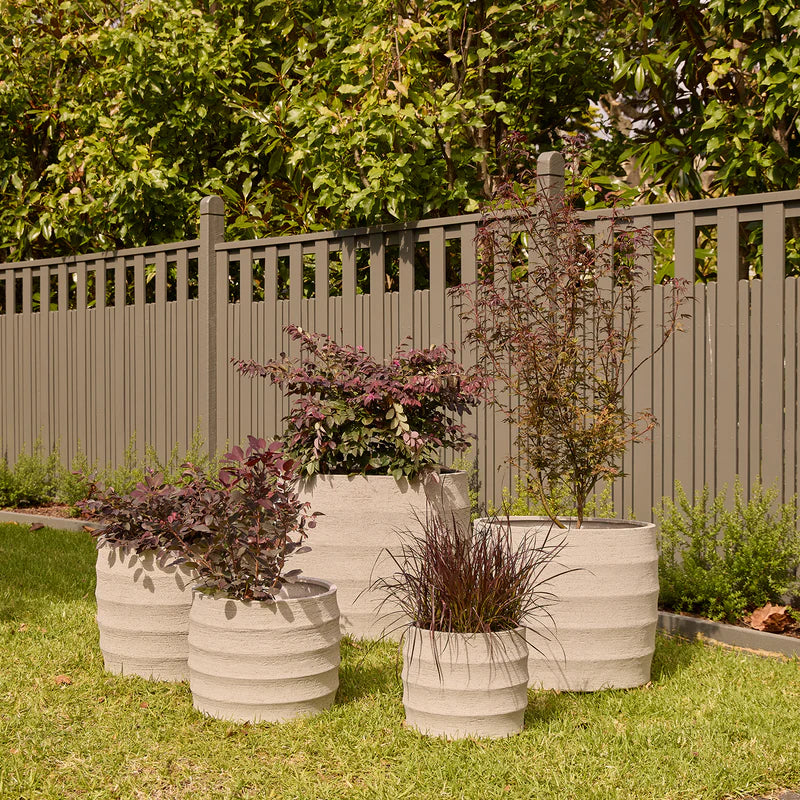 Horizons Cylinder -