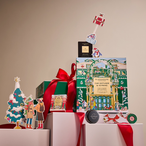 Night Before Christmas - 3 Scent Disk Car Diffuser Refills