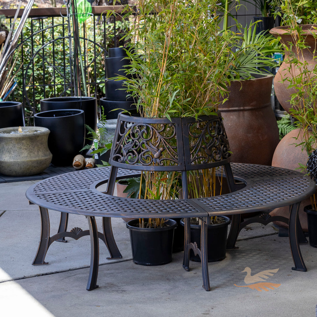 Cast Iron Tree Surround - Hummingbird – Warran Glen Garden Centre & Cafe