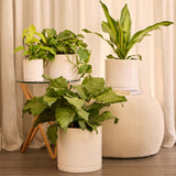 Stipple Cylinder -