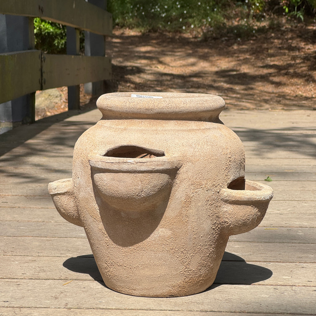 Herb Pot Three Cup 32x27cm