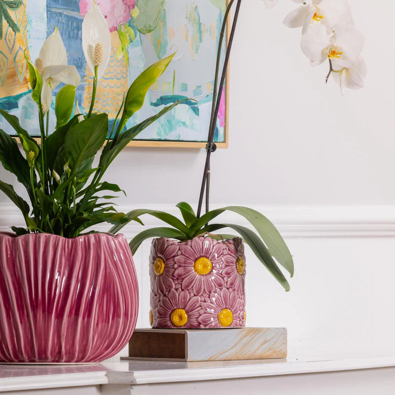 Daisy Pot - 16.5cm