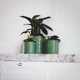 Eden Ceramic Pot -