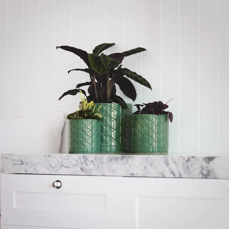 Eden Ceramic Pot -