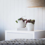 Malli Pot - 15cm Natural