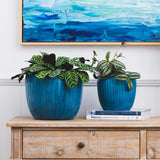 Nora Pot -
