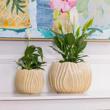 Tulip Pot -