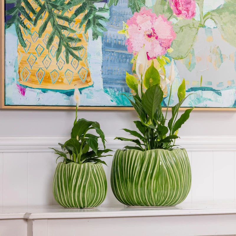 Tulip Pot -