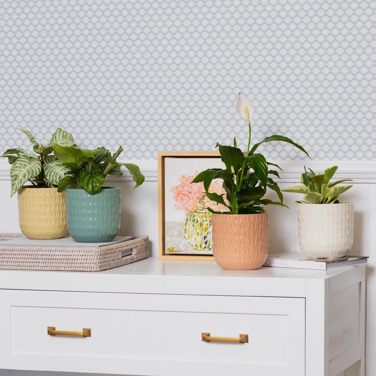 Willow Pot -