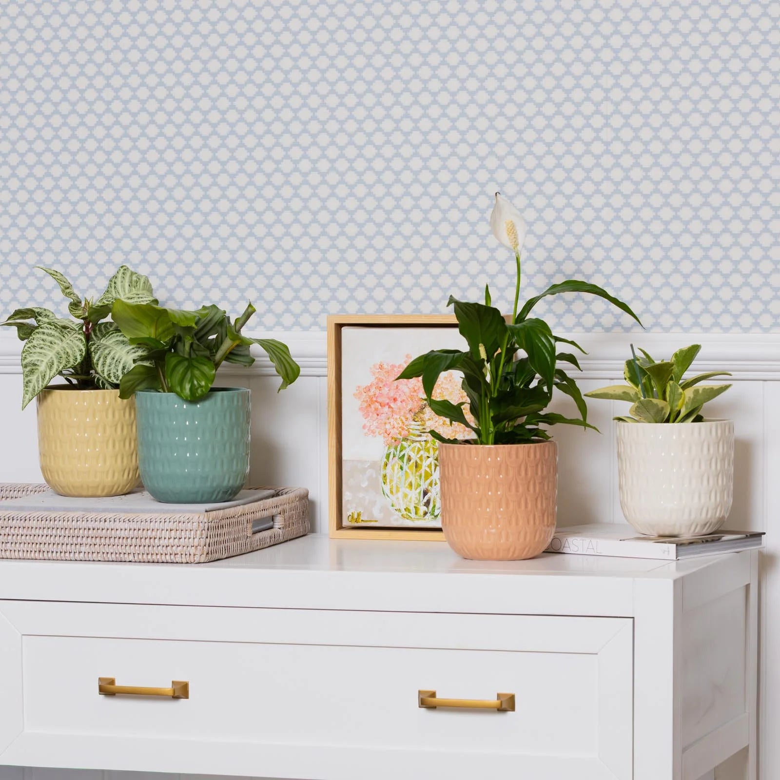 Willow Pot -
