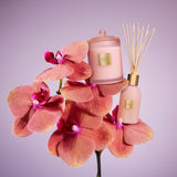 Radiance In Bloom - 380g Candle
