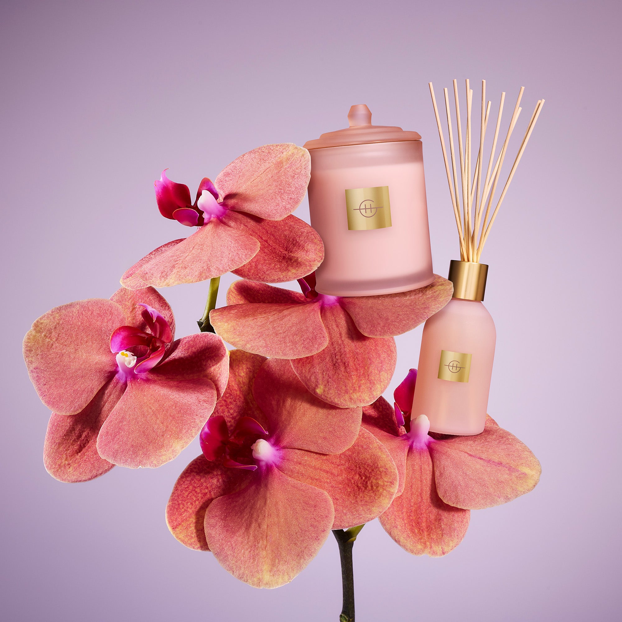 Radiance In Bloom - 380g Candle