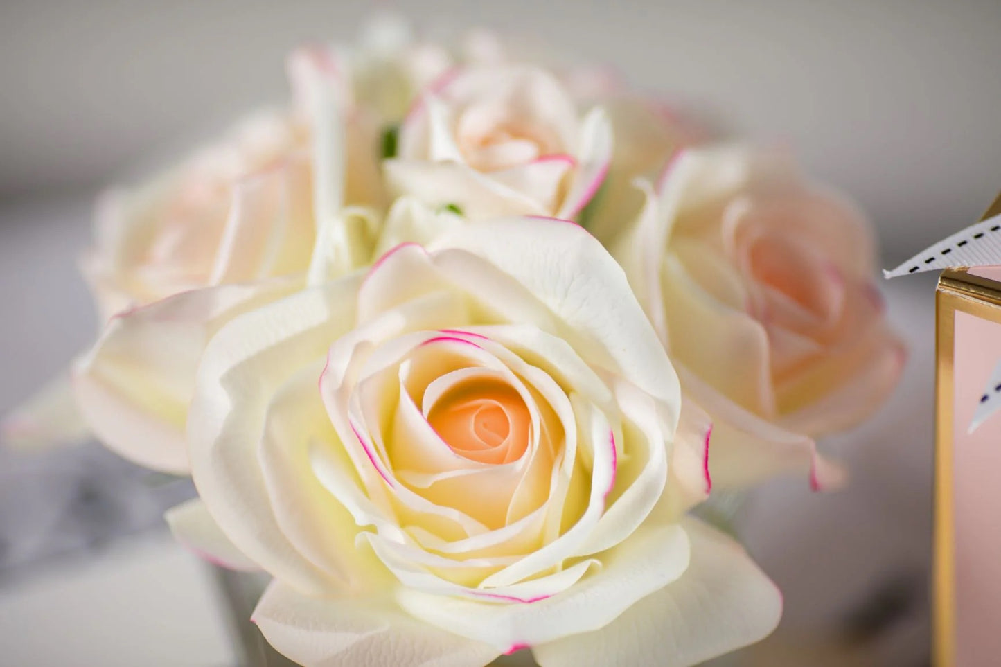 5 Rose Pink Blush - Limited Edition Pink Box