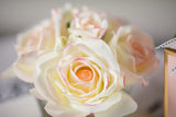 5 Rose Pink Blush - Limited Edition Pink Box