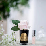 Rose Bud French Pink - Black Glass With Gold Badge