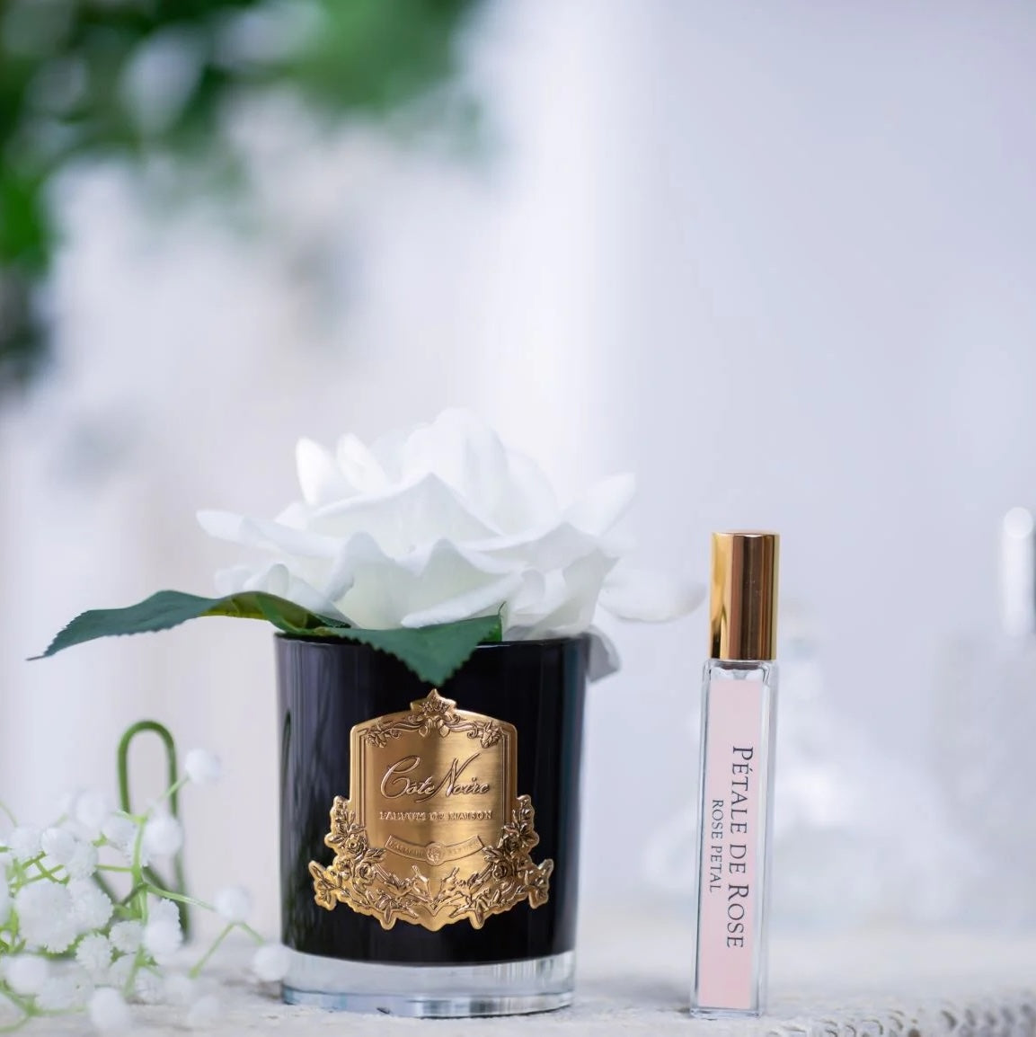 Single Rose Ivory White - Black Glass