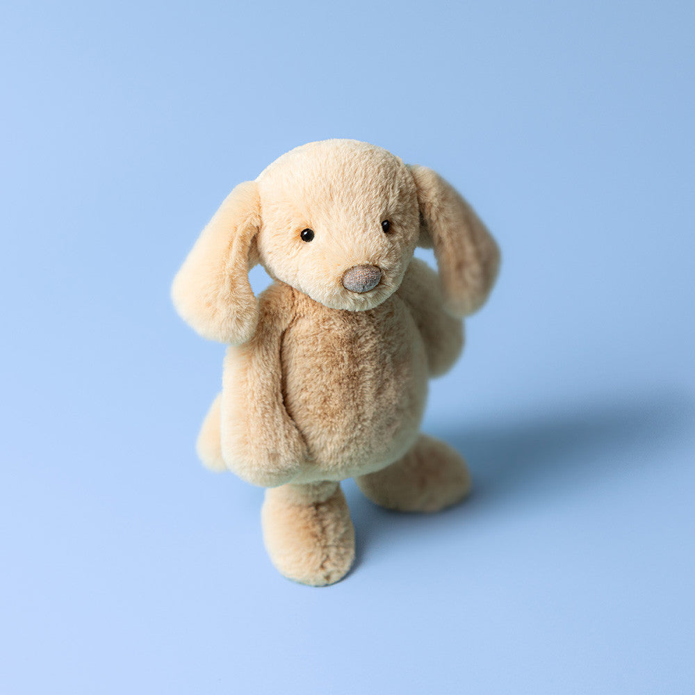 Bashful Luxe Puppy Orlando - Medium
