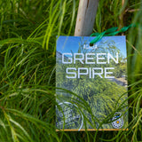 Acacia Green Spire - 33cm Pot