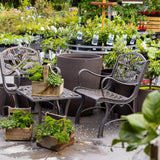 Cast Iron Armchair - Rosella & Bottlebrush