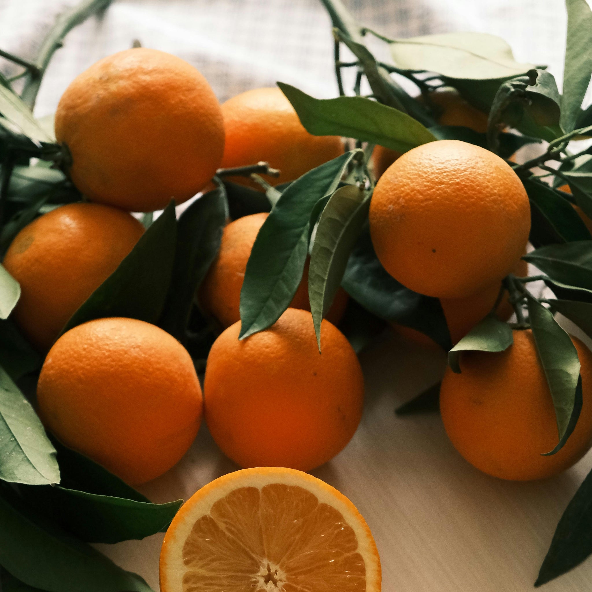 Orange Washington Navel - 40cm Pot