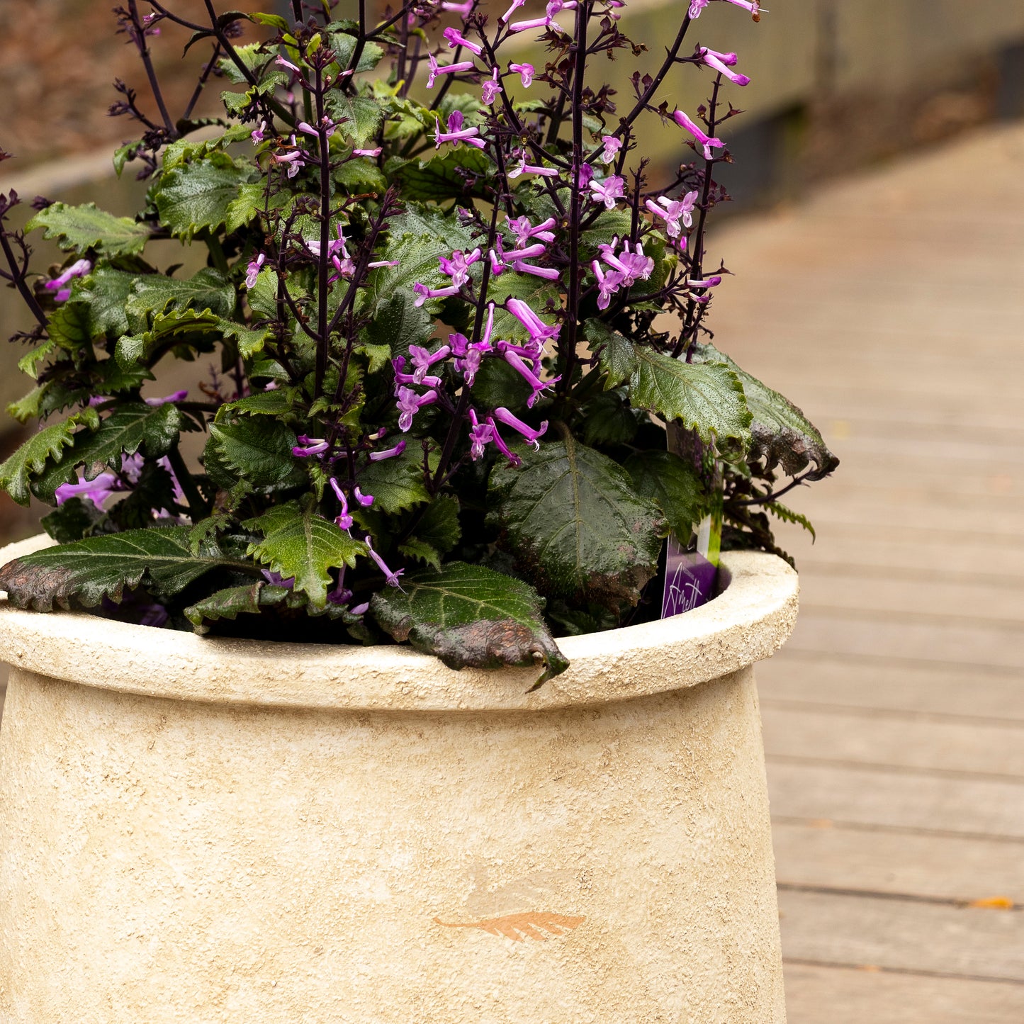 Antico Tub -