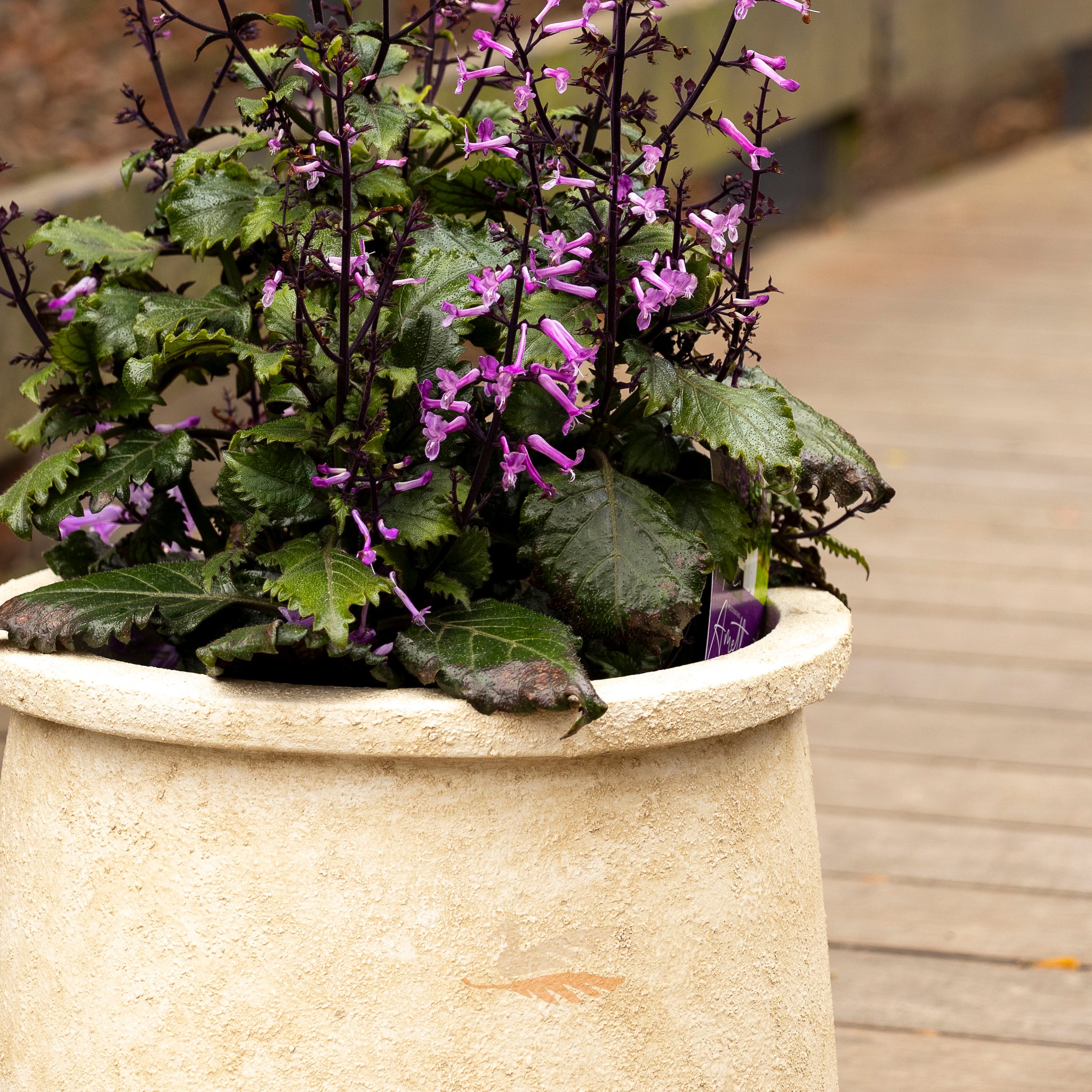 Antico Tub -