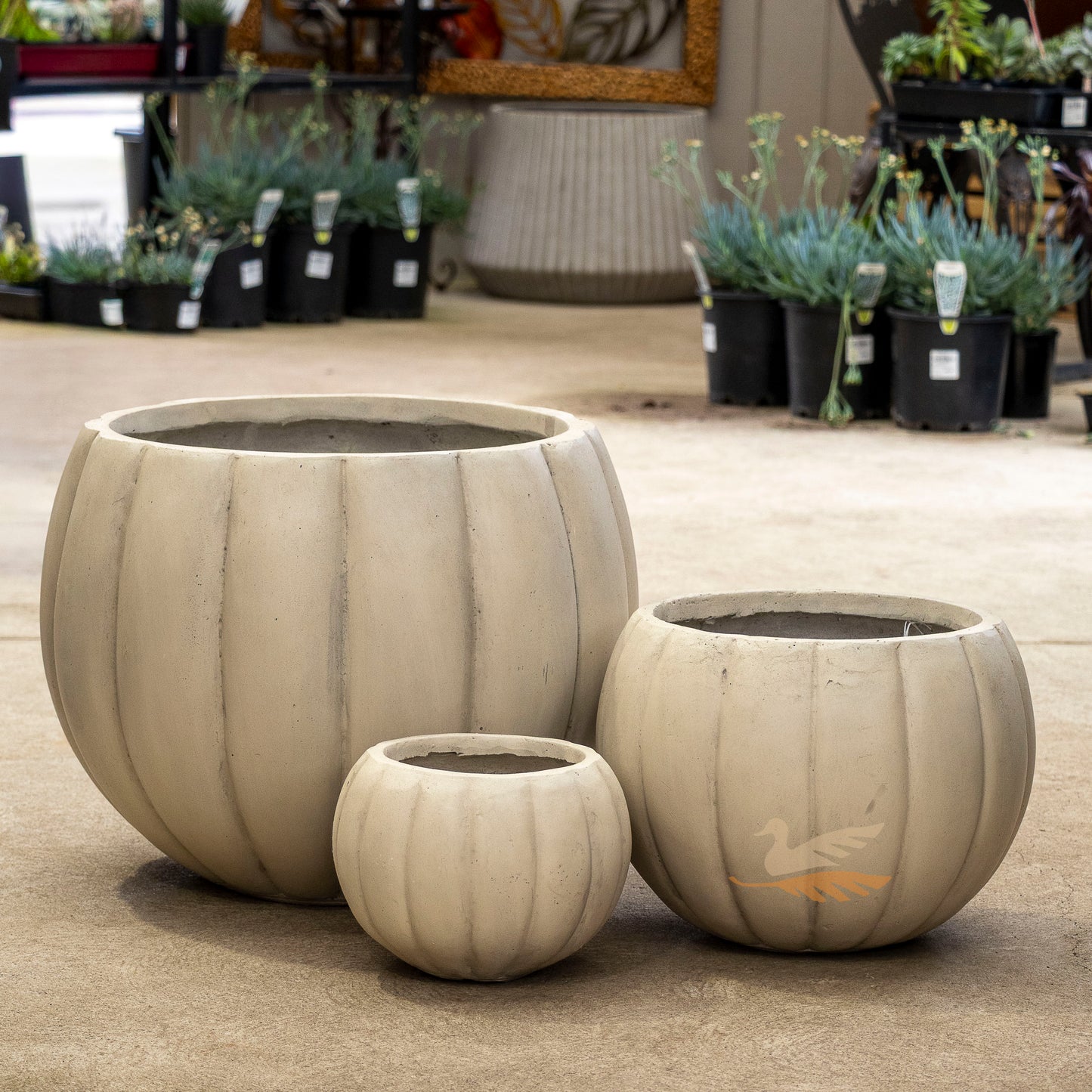 Caspian Ball -