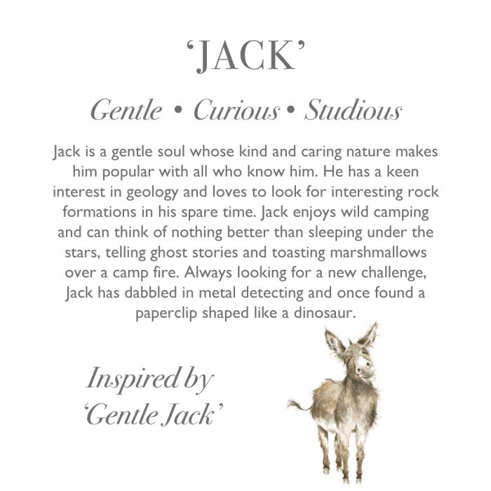Jack Donkey Plush - Large